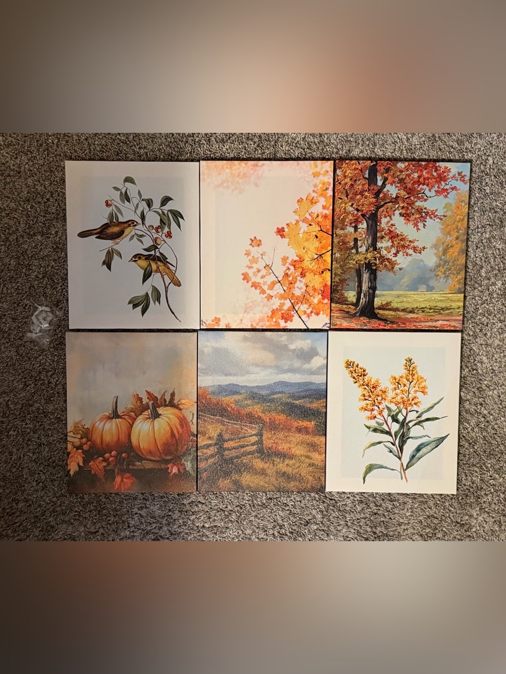 Set of 6 Autumn Harvest Wall Art Set - Orange and Brown Canvas Prints 8”x10”